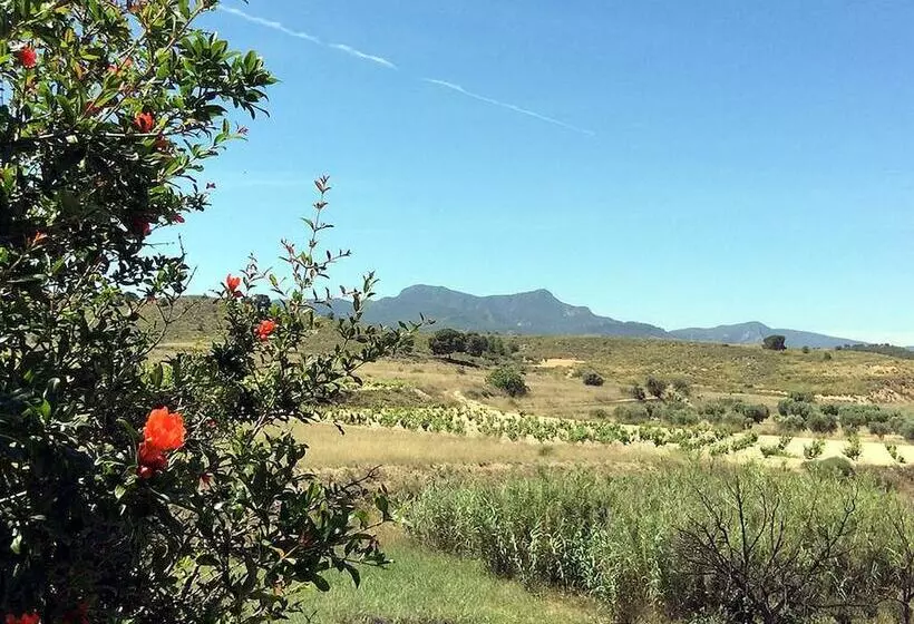 Los Cuatro Vientos B&b