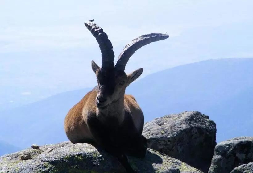 Retkeilymaja Hostal Avenida