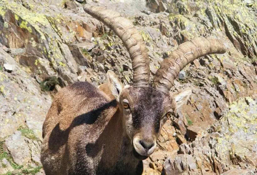 Retkeilymaja Hostal Avenida