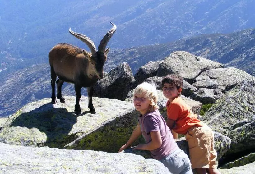 Retkeilymaja Hostal Avenida