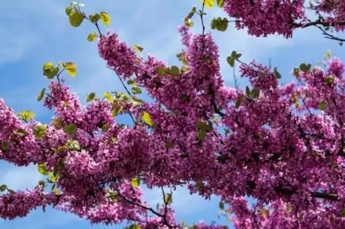 Retkeilymaja Hostal Avenida