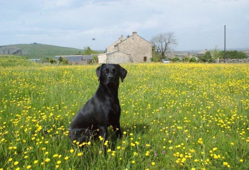 East Wayside Bed & Breakfast