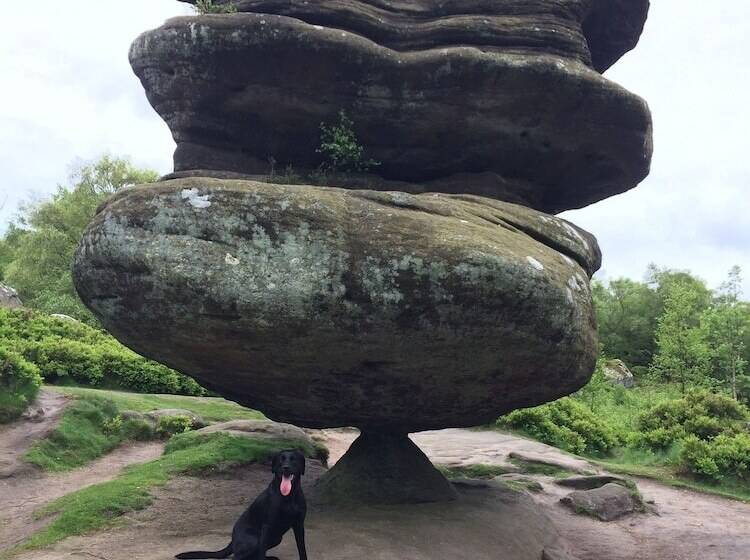 East Wayside Bed & Breakfast