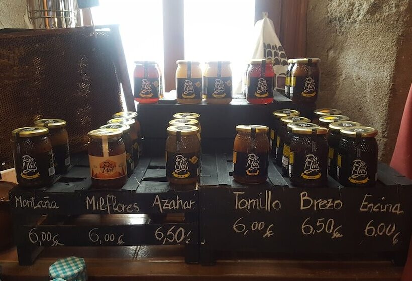 فندق فئة نجمة واحدة Posada De Bleto