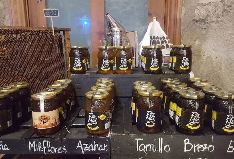 فندق فئة نجمة واحدة Posada De Bleto