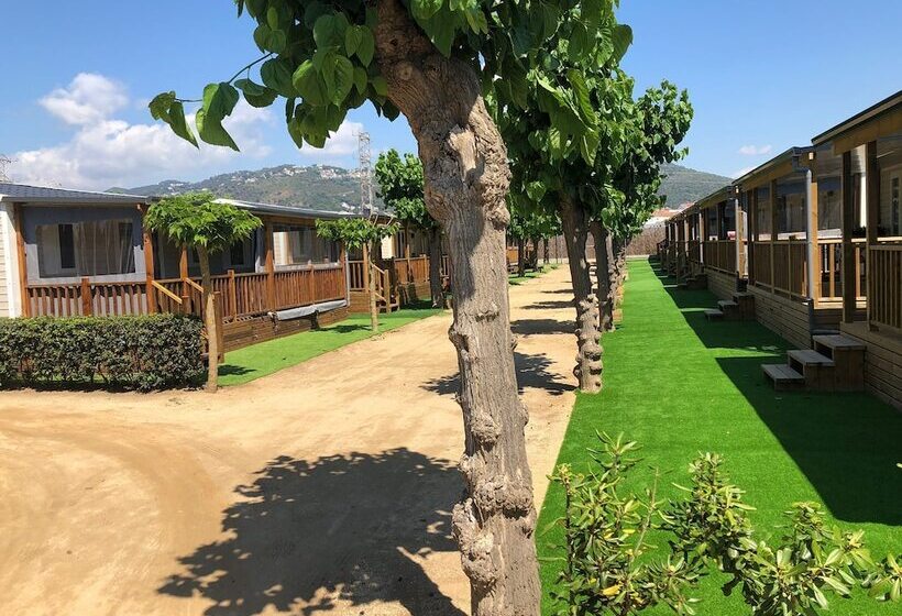 فندق Camping El Camell