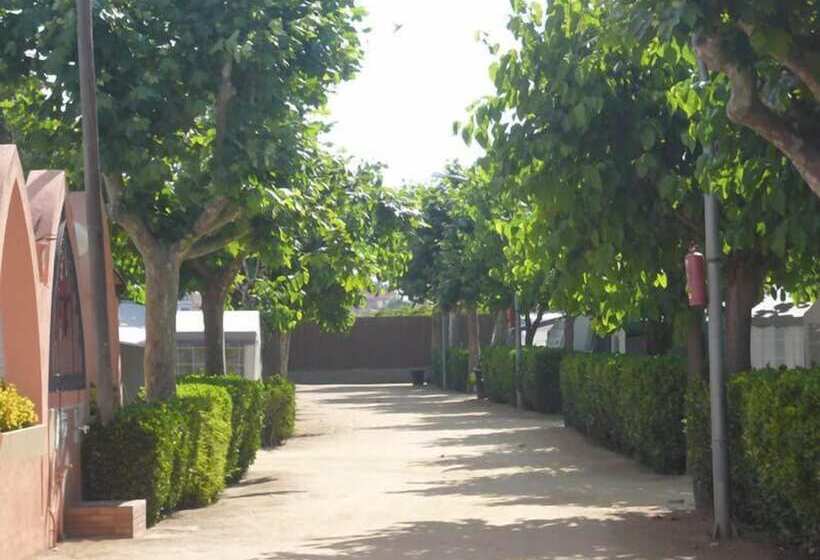 فندق Camping El Camell