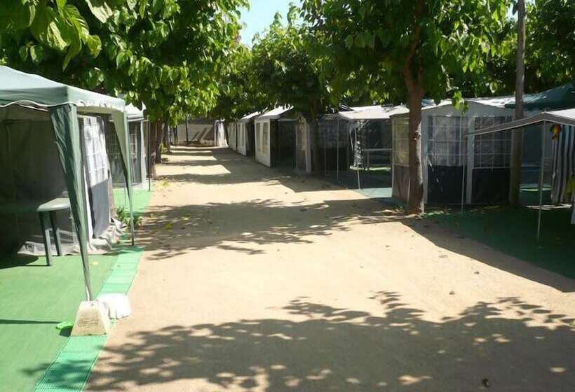فندق Camping El Camell