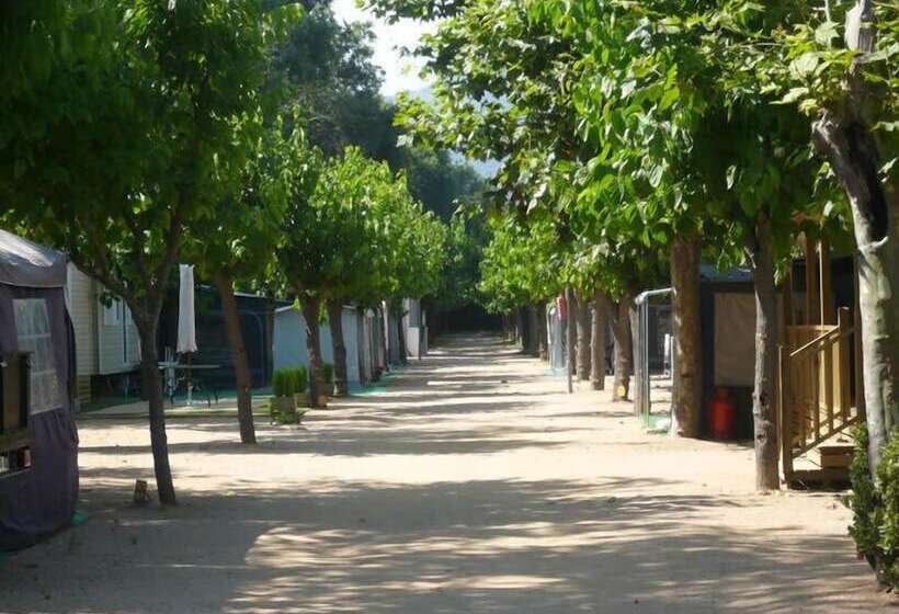 فندق Camping El Camell