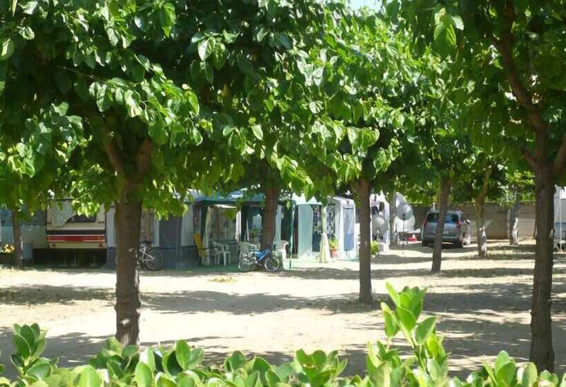 فندق Camping El Camell