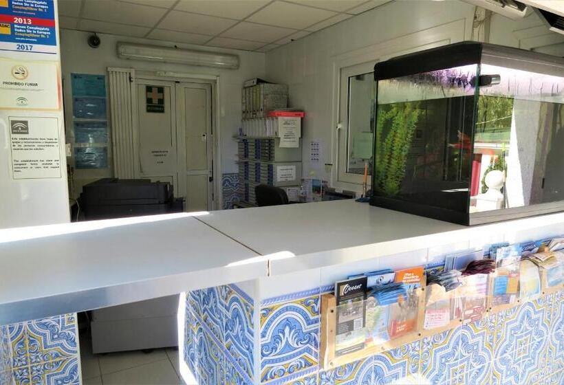 Отель Centro Vacacional Macenas