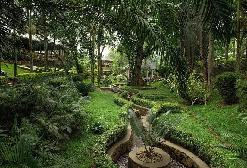 هتل Miika Eco Resort