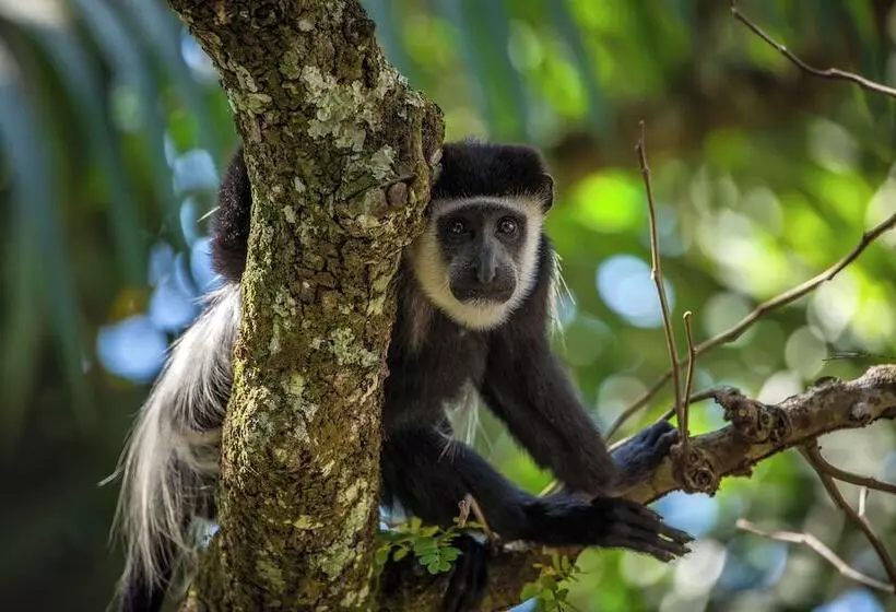 هتل Miika Eco Resort