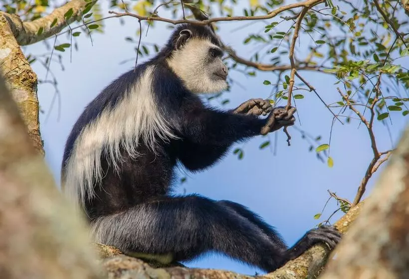 هتل Miika Eco Resort