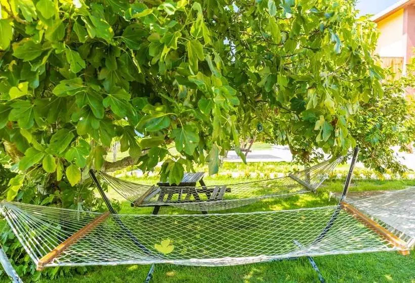 Agva Teras Garden Hotel & Bungalow