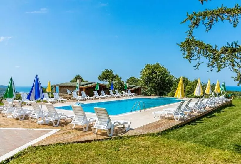 Agva Teras Garden Hotel & Bungalow