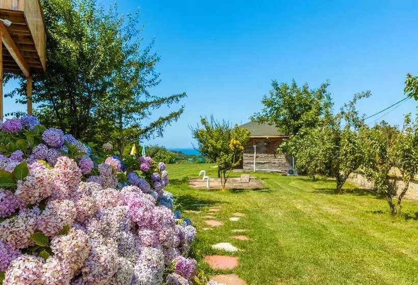 Agva Teras Garden Hotel & Bungalow