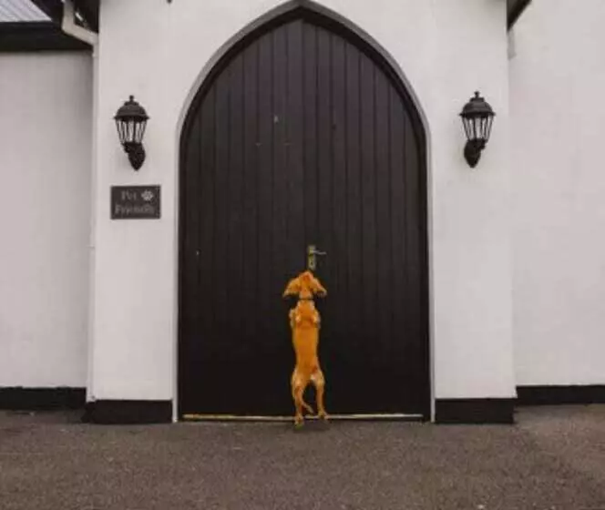 ホテル Inn On The Coast