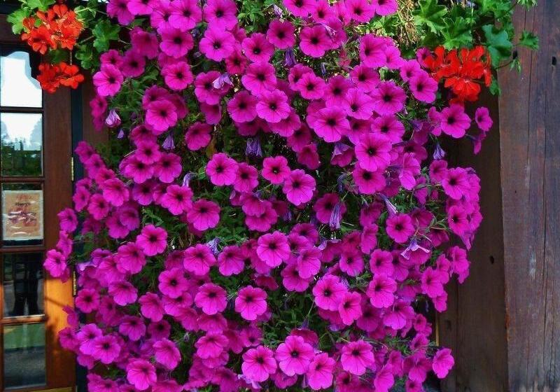 ホテル Mountain Lake Lodge