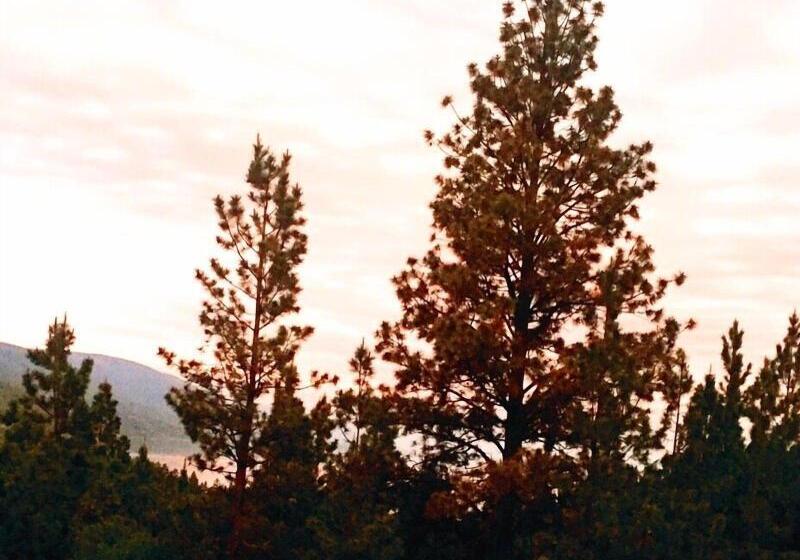 ホテル Mountain Lake Lodge