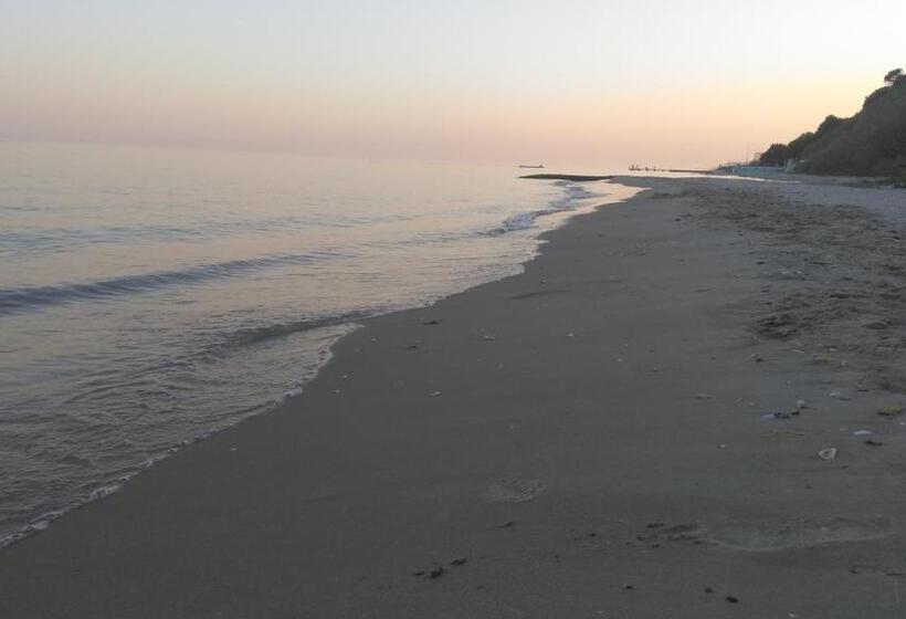 בית מלון כפרי Dallas