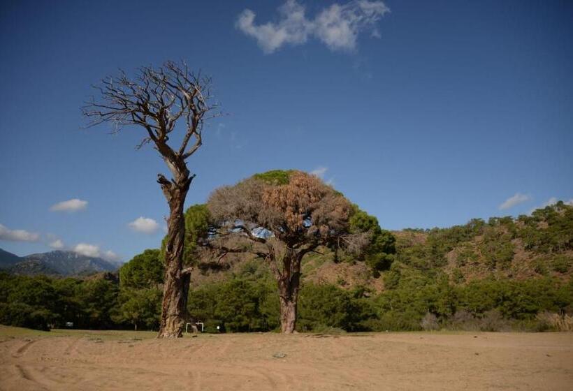 هتل Hanei Keyif Pension