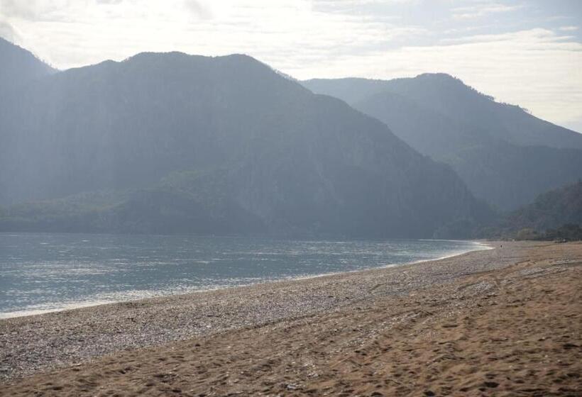 هتل Hanei Keyif Pension