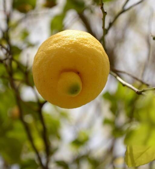 هتل Hanei Keyif Pension