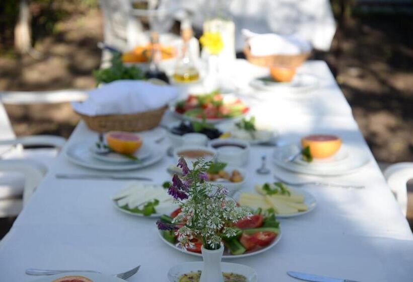 هتل Hanei Keyif Pension