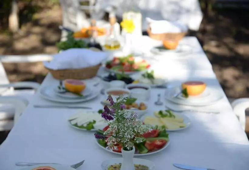 Hotelli Hanei Keyif Pension