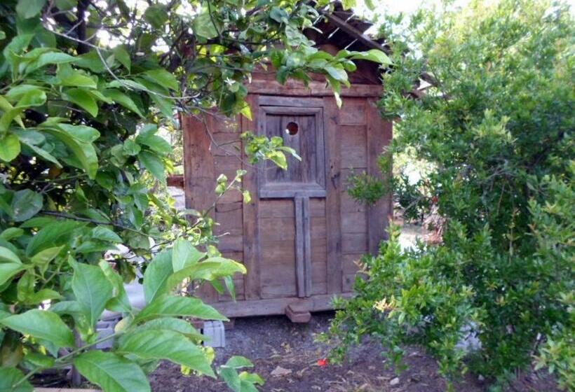 هتل Hanei Keyif Pension