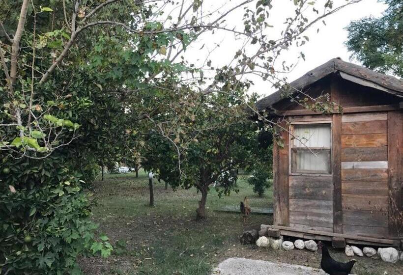 هتل Hanei Keyif Pension