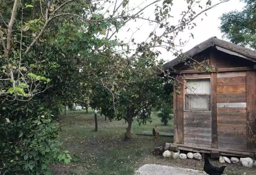 Hotelli Hanei Keyif Pension