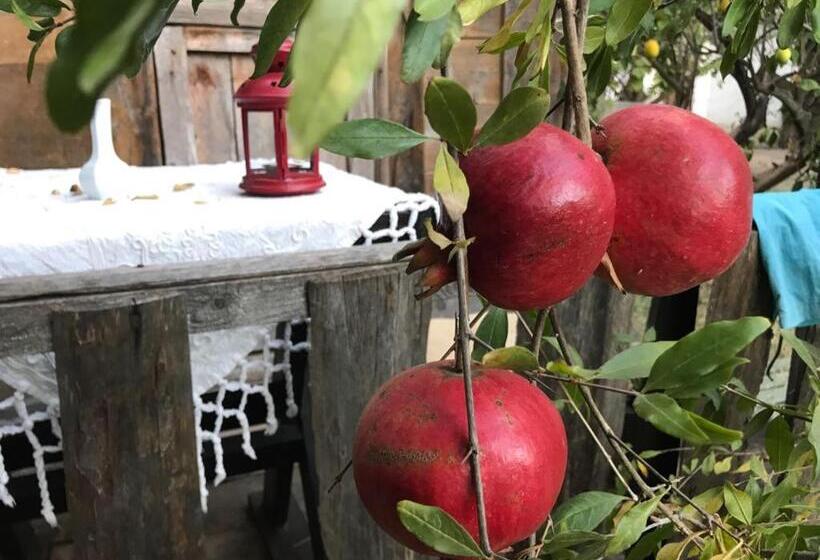 هتل Hanei Keyif Pension