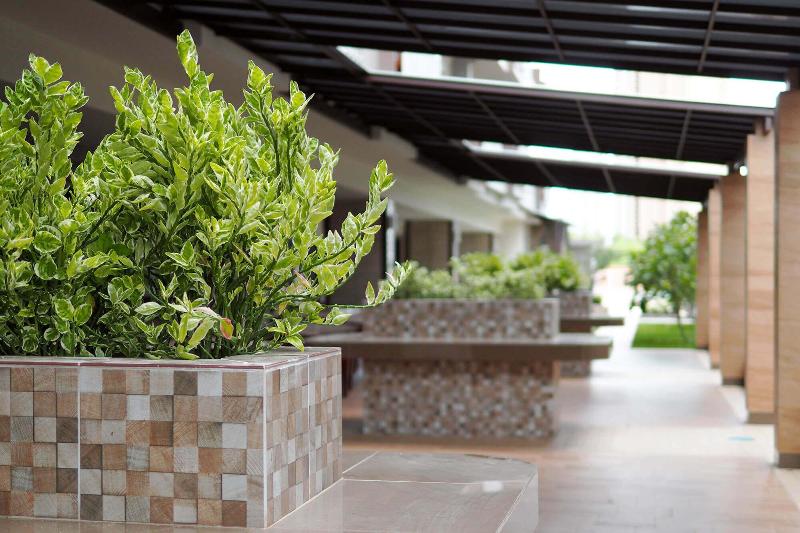 בית מלון כפרי The Mangrove