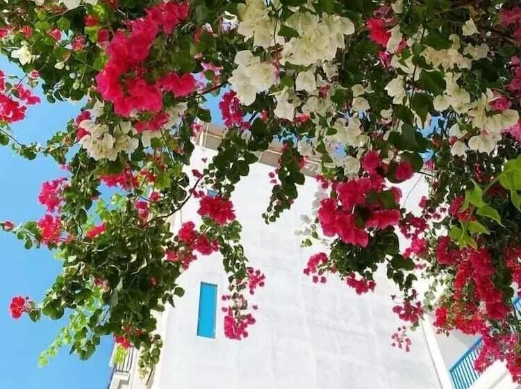 پانسیون Blue Anchor Lodge & Cafebinh Ba Island