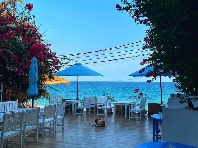 پانسیون Blue Anchor Lodge & Cafebinh Ba Island