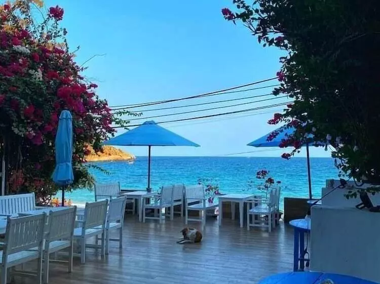 پانسیون Blue Anchor Lodge & Cafebinh Ba Island