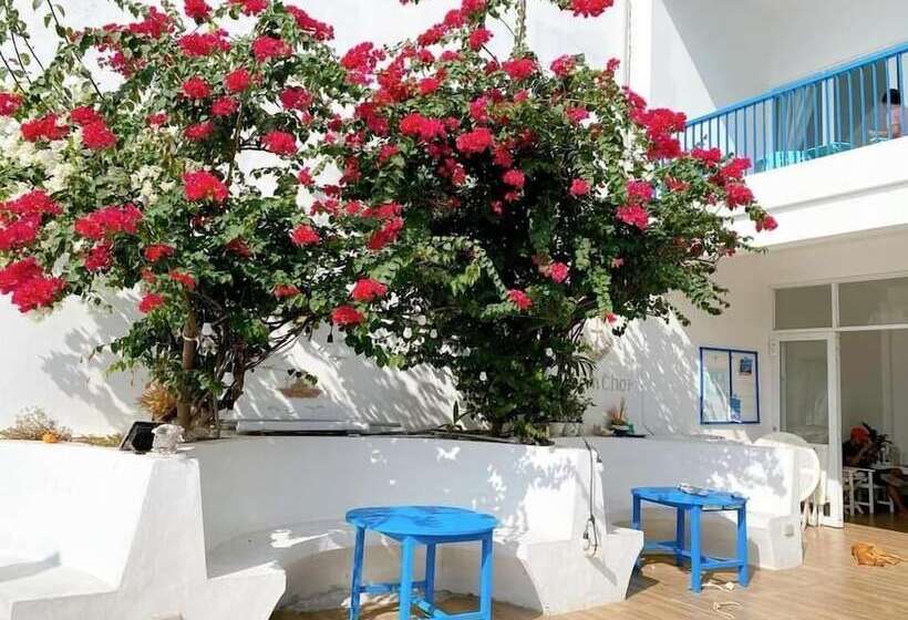 پانسیون Blue Anchor Lodge & Cafebinh Ba Island