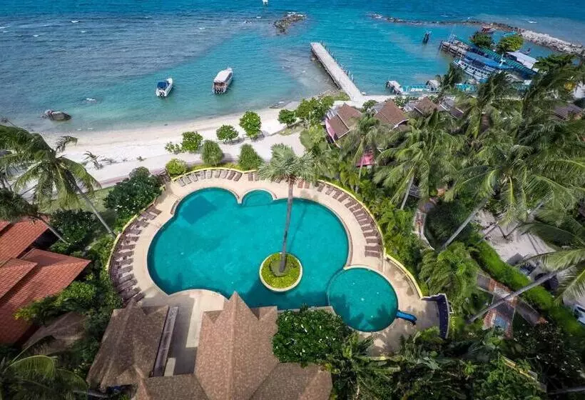 هاستل Jungle Gym & Ecolodge