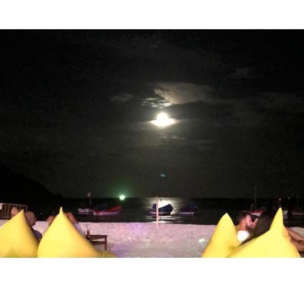 Albergue Jungle Gym & Ecolodge