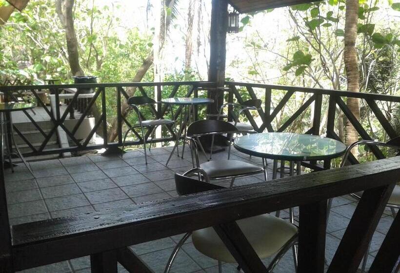 Albergue Jungle Gym & Ecolodge