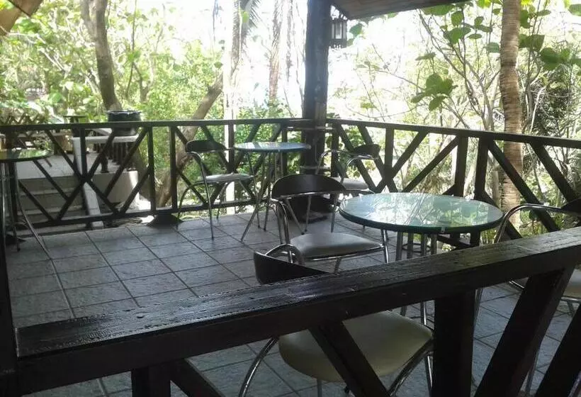 هاستل Jungle Gym & Ecolodge