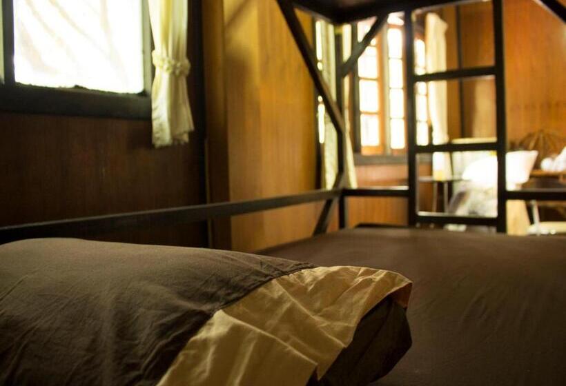 Albergue Jungle Gym & Ecolodge