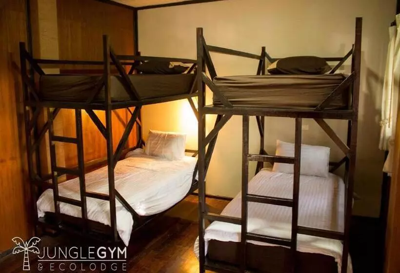 هاستل Jungle Gym & Ecolodge