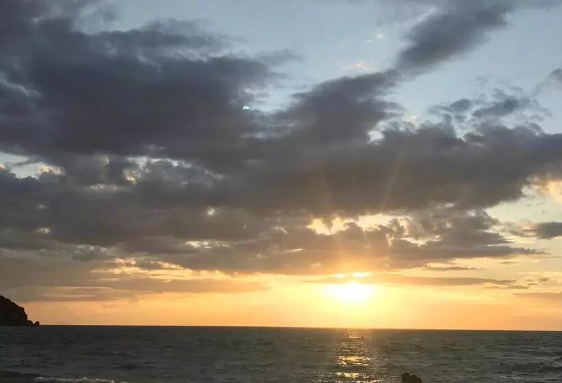 هاستل Jungle Gym & Ecolodge