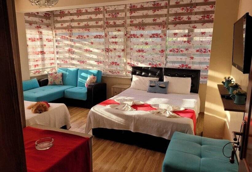 酒店 Kristal Pansiyon