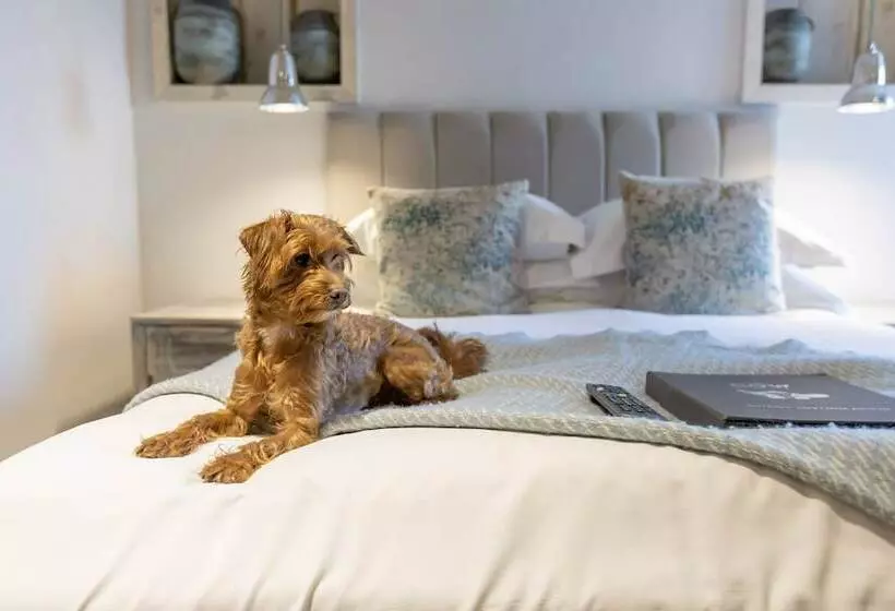 مسافرخانه The Cow Dalbury