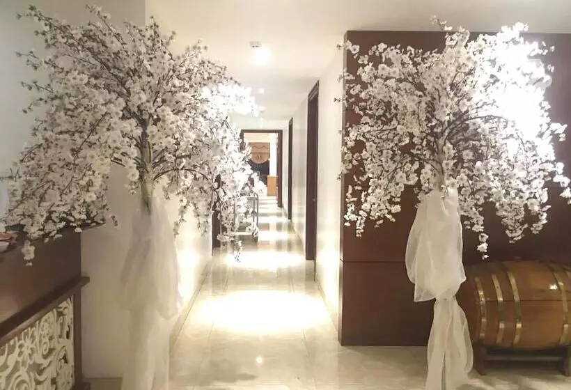 هتل Sen Trang