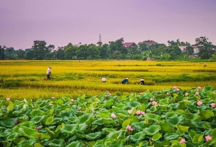 پانسیون Tam Coc Craft Homestay